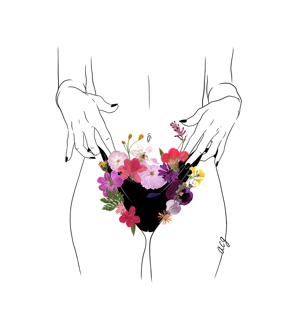 Flores y Pelos - Serie Ilustrada