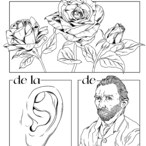 ROSAS LÁMINA